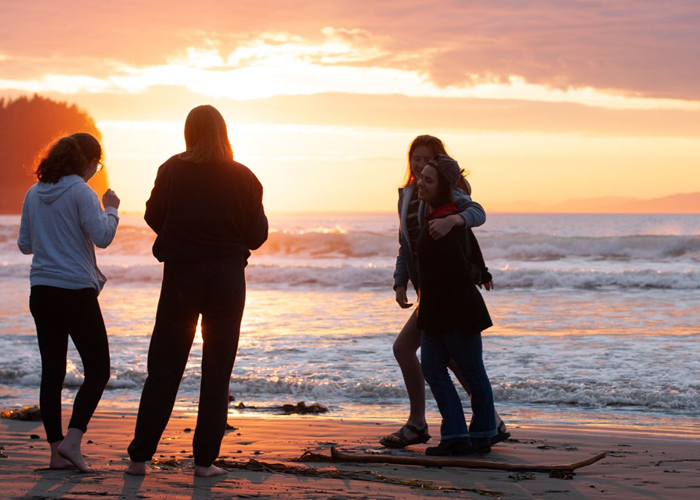 Online family therapy for relationship stress management.